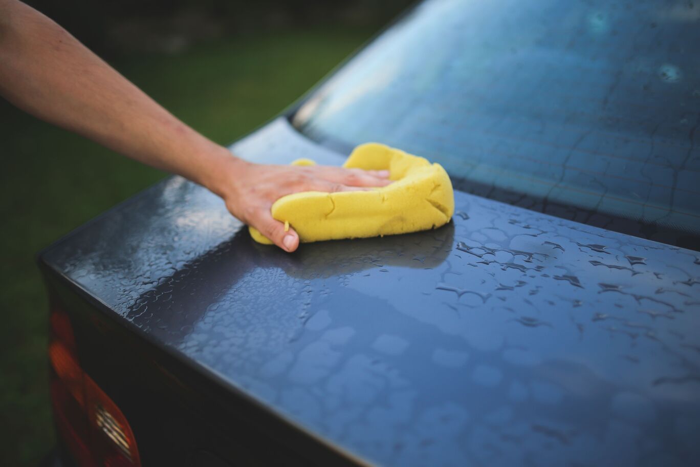 Professional car paint detailing
